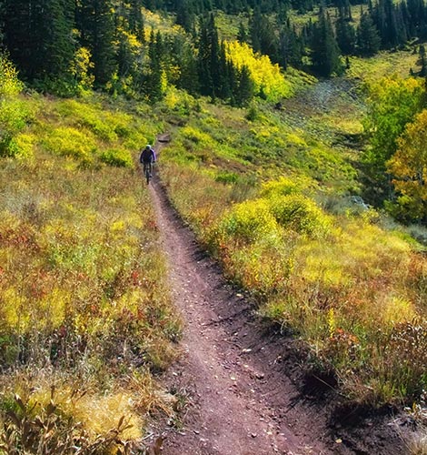 lake-trail